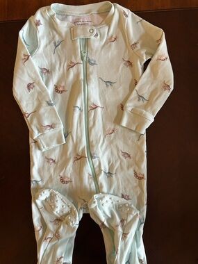 Janie and Jack Mint Dinosaur Print Footie